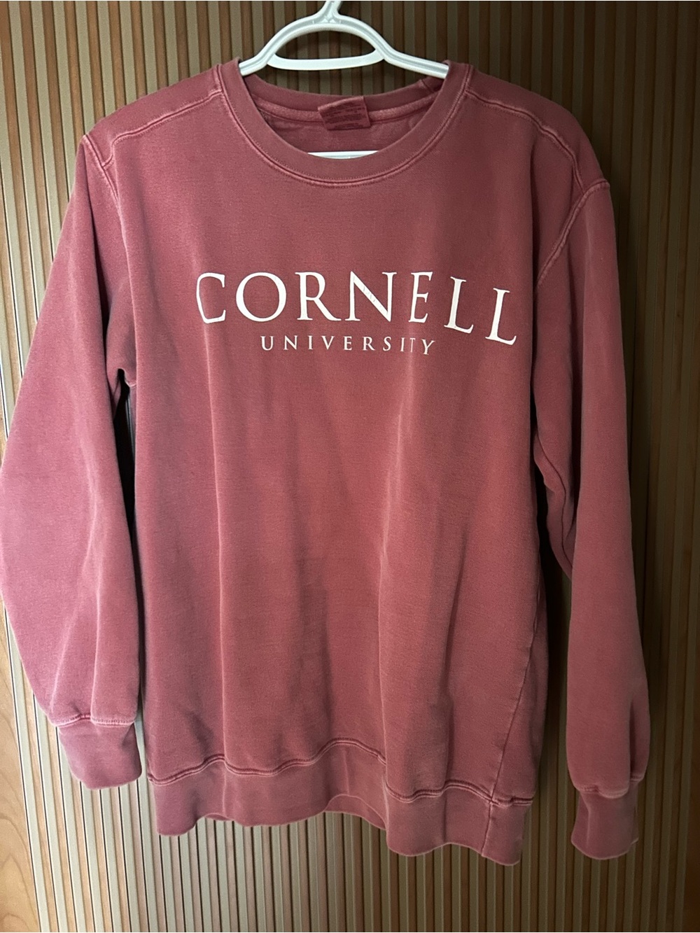 Cornell sweatshirt